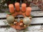 Preview: Adventskranz ADV2401 - orange, aprikot, gold