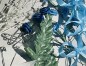 Preview: Gästeanstecker " Julia " zur Hochzeit im 10er Set AS0029 - hellblau, blau