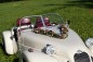 Preview: Autoschmuck Girlande " Ivy " AU0025 - braun, cappuccino