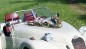 Preview: Autoschmuck Girlande " Ivy " AU0025 - braun, cappuccino