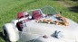 Preview: Autoschmuck Girlande " Ivy " AU0027 - orange