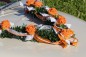 Preview: Autoschmuck Girlande " Ivy " AU0027 - orange