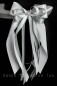 Preview: Antennenschleifen " Anna " zur Hochzeit SCH0110 im 10er Set - weiß, grau, silber