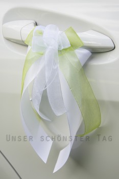 6-tlg Autogirlande & Türschleifen " Loredana " AU0005 - grün, weiß