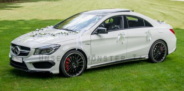 6-tlg Autogirlande & Türschleifen " Loredana " AU0005 - grün, weiß
