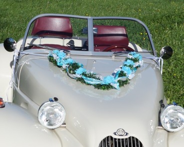 Autoschmuck Girlande " Ivy " AU0008 - türkis, hellbau