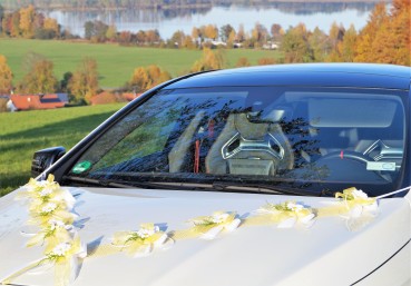 Autoschmuck " Lilly " AU0019 - gelb, weiß mit Margeriten