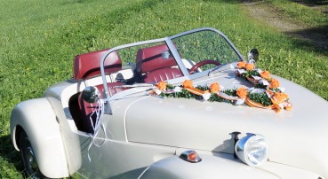 Autoschmuck Girlande " Ivy " AU0027 - orange