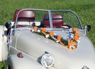 Autoschmuck Girlande " Ivy " AU0027 - orange