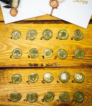 Wachssiegel selbstklebend 10er Set WASS009 - Motiv 9 Olivenzweig