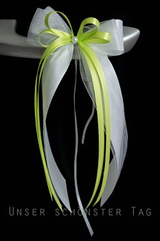 Antennenschleifen " Xenia " zur Hochzeit SCH0011 im 10er Set - weiß, hellgrün