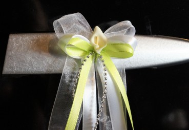 Antennenschleifen " Zoe " zur Hochzeit SCH0021 im 10er Set - weiß lindgrün