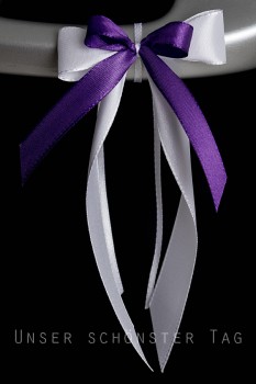 Antennenschleifen " Lisa " zur Hochzeit SCH0064 im 25er Set - weiß, lila