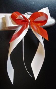 Antennenschleifen " Lisa " zur Hochzeit SCH0072 im 25er Set - weiß, rot