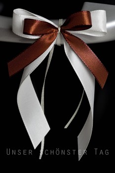 Antennenschleifen " Lisa " zur Hochzeit SCH0097 im 25er Set - creme, braun