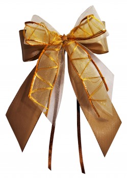 Weihnachtsschleifen Schleifen Geschenke Weihnachten WS1976 im 10er Set - cappucino, orange, gold