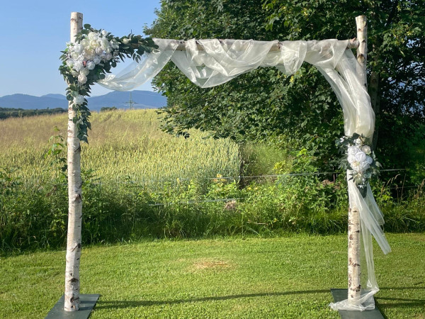Traubogen Birke zur Hochzeit Verleih / 50 €