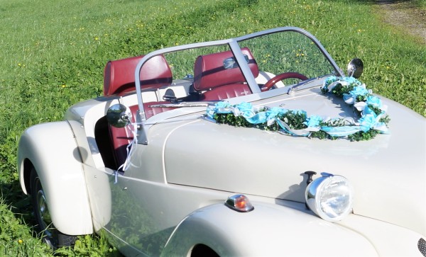 Autoschmuck Girlande " Ivy " AU0008 - türkis, hellbau