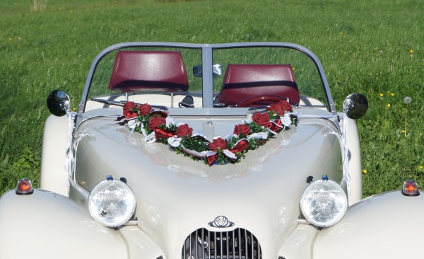 Autoschmuck Girlande " Ivy " AU0012 - bordeaux