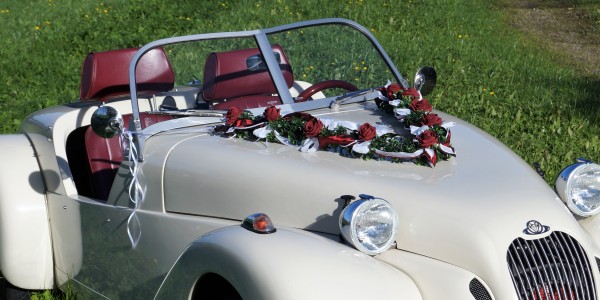 Autoschmuck Girlande " Ivy " AU0012 - bordeaux