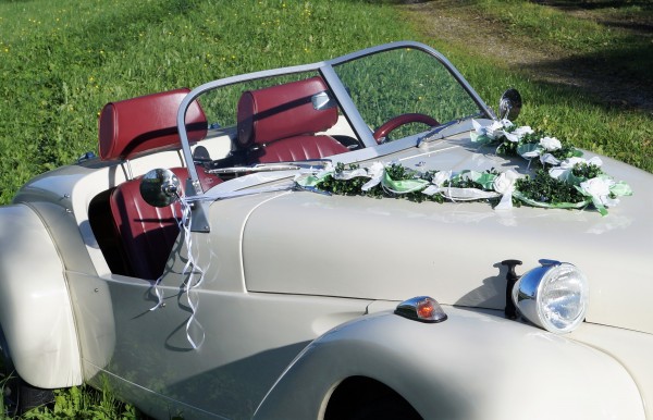 Autoschmuck Girlande " Ivy " AU0013 - weiß