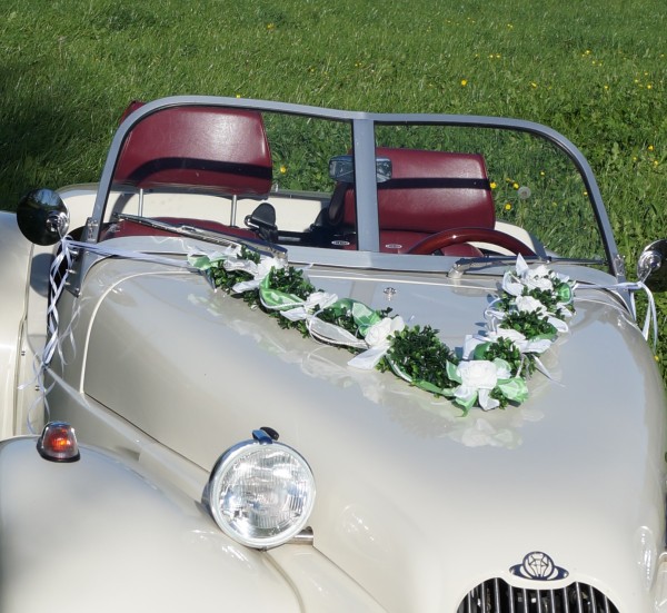 Autoschmuck Girlande " Ivy " AU0013 - weiß