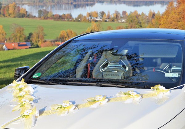 Autoschmuck " Lilly " AU0019 - gelb, weiß mit Margeriten