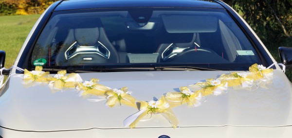 Autoschmuck " Lilly " AU0019 - gelb, weiß mit Margeriten