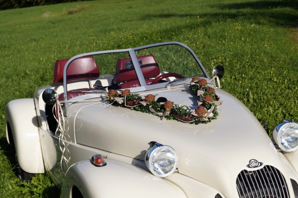 Autoschmuck Girlande " Ivy " AU0025 - braun, cappuccino