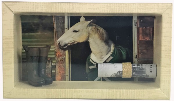 Geldgeschenk Gutschein Pferd Reitstunden reiten GS030