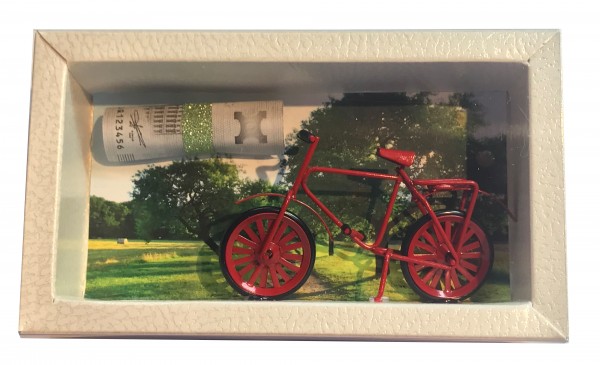 Geldgeschenk Gutschein Fahrrad GS103