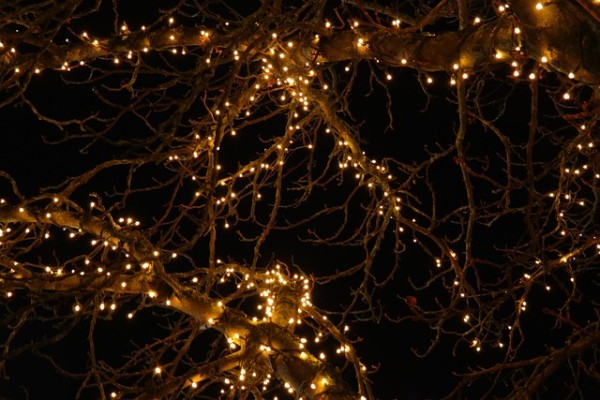 720 LED Lichterkette 54m warmweiß / 24 € Miete