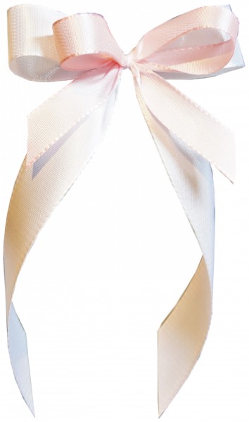 Antennenschleifen " Lisa " zur Hochzeit SCH0069 im 25er Set - weiß, rosa