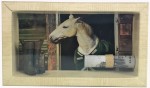 Geldgeschenk Gutschein Pferd Reitstunden reiten GS030