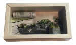 Geldgeschenk Gutschein Planzen & Garten GS099