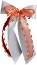 Antennenschleifen " Aurelia " zur Hochzeit im 10er Set SCH0113 - weiß, orange