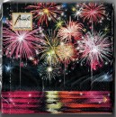 20 Servietten Feuerwerk Sylvester SV0053