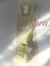 Tischdekoration für ca. 60 Pers. Hortensie grün zur Hochzeit Tischdeko TD0047