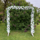Traubogen zur Hochzeit mieten / 50 €